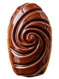 Shells – Spiral